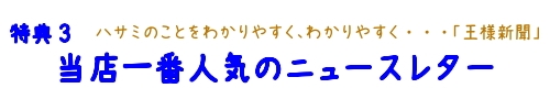 研ぎピンチラ
