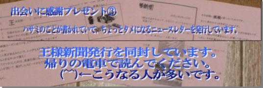 王様新聞