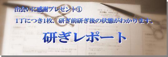 研ぎレポート